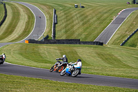 Vintage-motorcycle-club;eventdigitalimages;mallory-park;mallory-park-trackday-photographs;no-limits-trackdays;peter-wileman-photography;trackday-digital-images;trackday-photos;vmcc-festival-1000-bikes-photographs